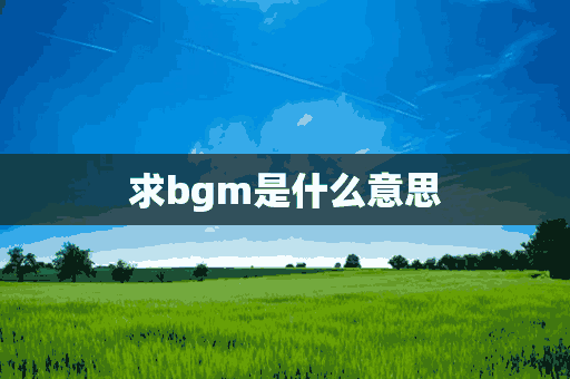 求bgm是什么意思(求BGM是什么意思)